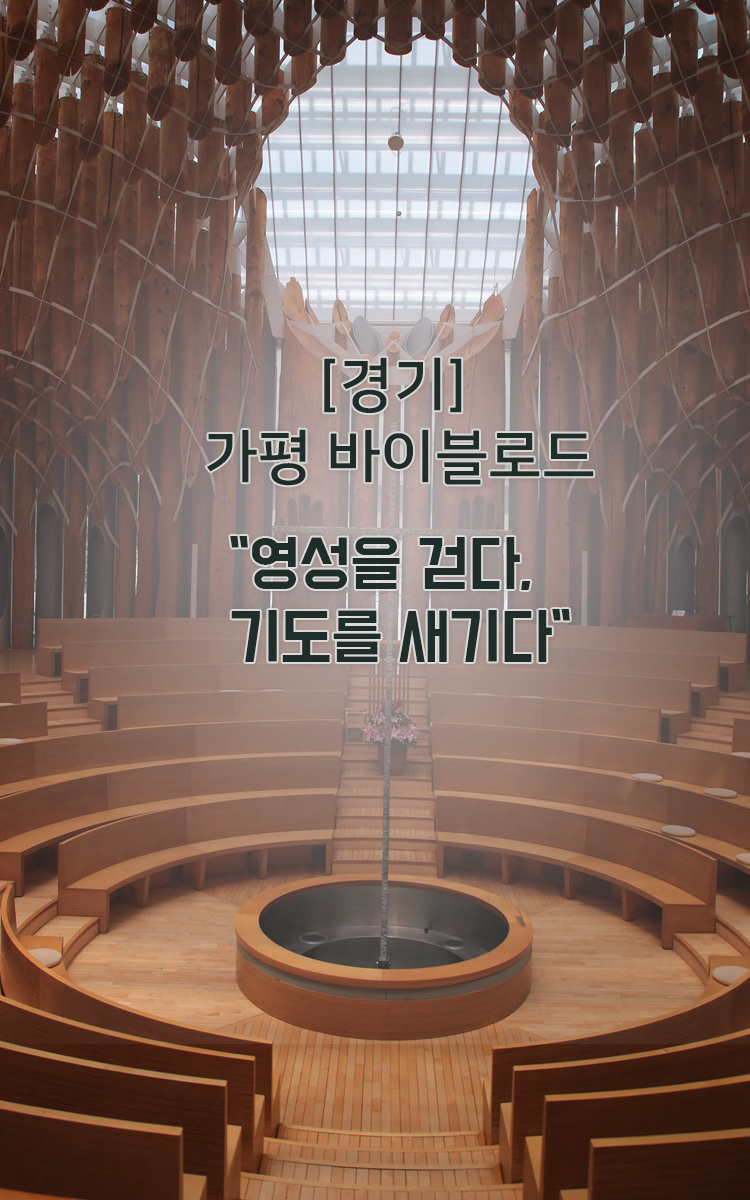 /upload/phroneo/file/we1100/202504/phroneo_cm9910_30000408.jpg